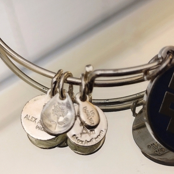 Alex And Ani Endless Knot 2014 Bangle - Picture 3 of 5